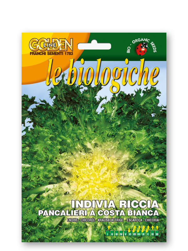 Indivia R. Pancalieri Vegetable Seeds