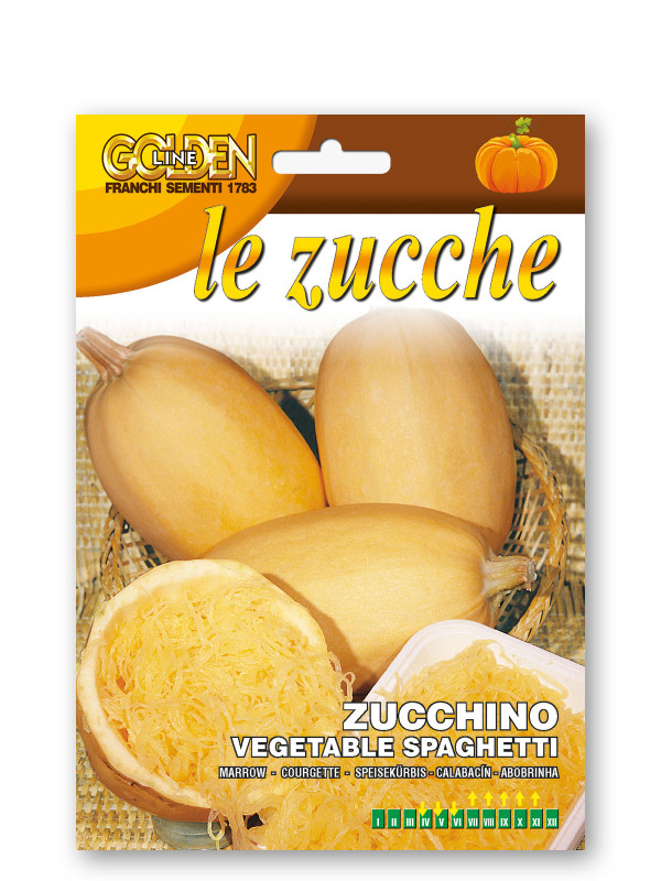 Zuccahino  Spaghetti vegetable seeds
