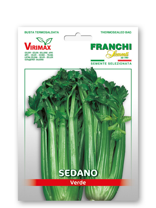 Sedano Groene Pasal Vegetable seeds
