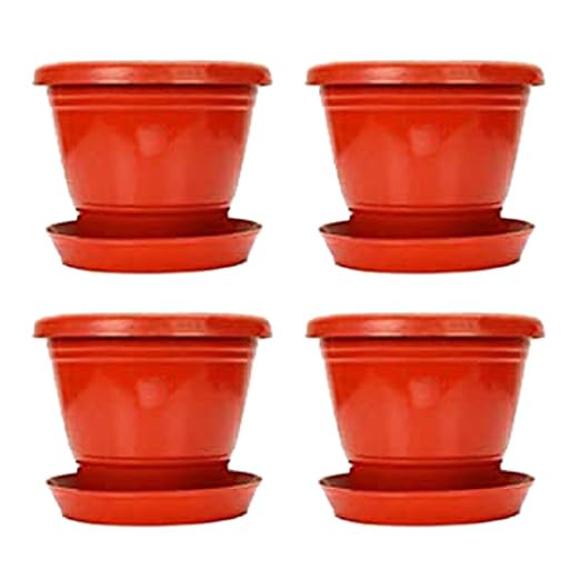 PLASTIC POT WITH BOTTOM PLATES  8 INCH RED (PACK OF 4 PCS)