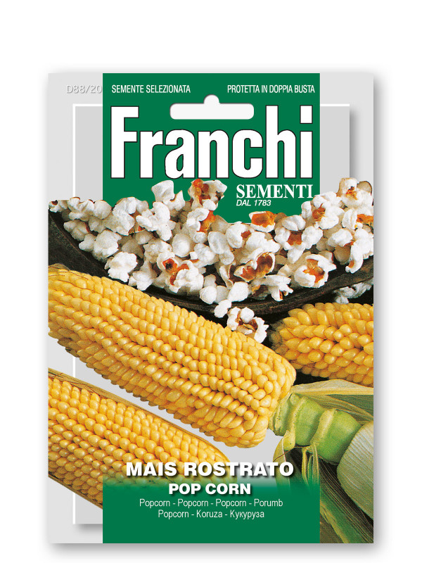 Mais Da Pop Corn Vegetable Seeds