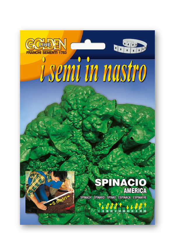 Spinacio America Vegetable seeds