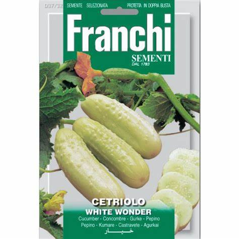 cetriolino white wonder vegetable seeds