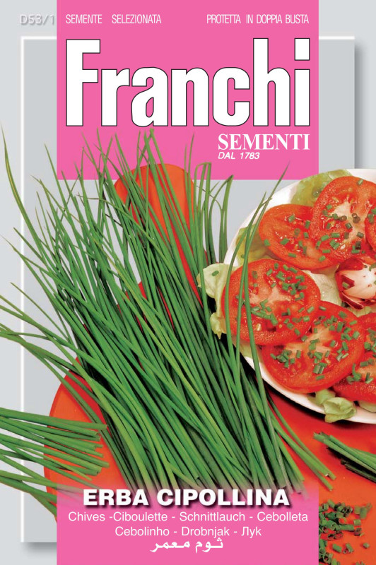 Chives - Erba cipollina