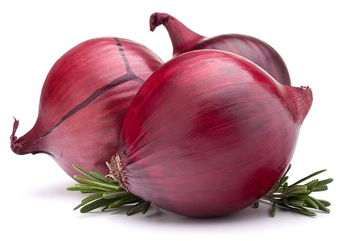 RED ONION VEGETABLE SEEDS