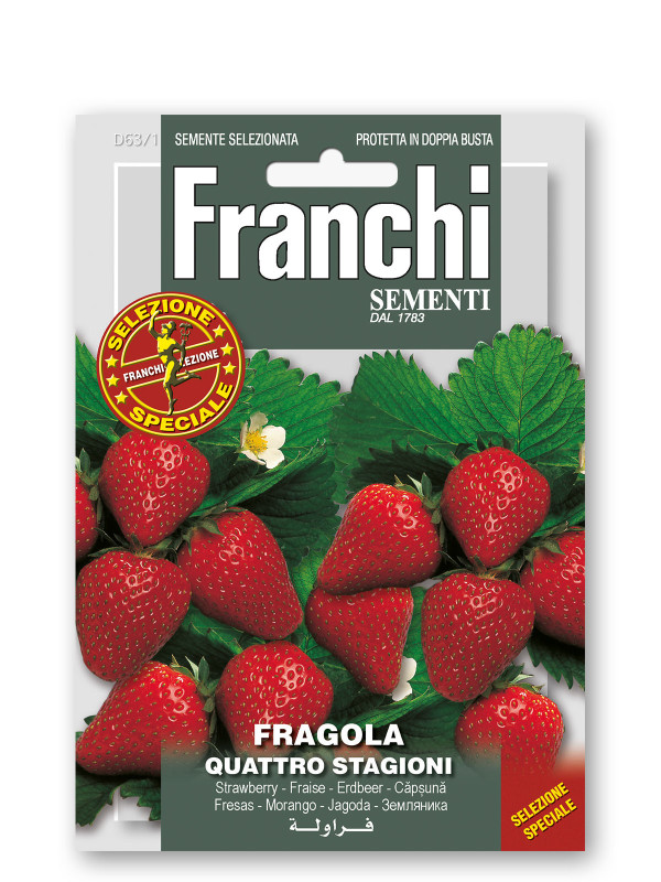 Frgola 4 Stagioni Vegetable Seeds