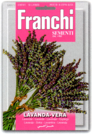 Lavanda Vera Vegetable seeds