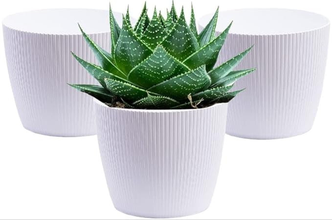 PLASTIC POT WHITE (PACK OF 3 PC)