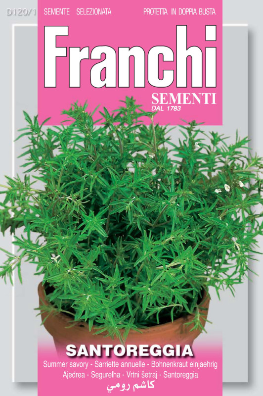 Summer savory - Santoreggia