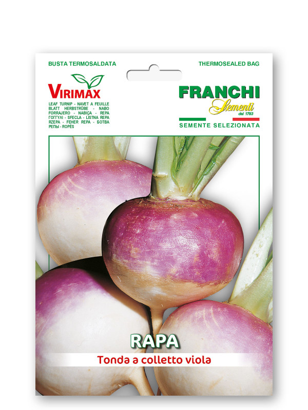 Rapa Tonda Collviola vegetable seeds