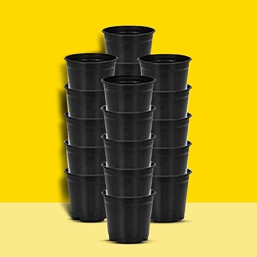 PLASTIC POT BLACK 6 INCH (PACK OF  20 PC)