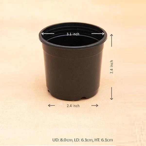 PLASTIC POT BLACK  3 INCH (PACK OF 6 PC