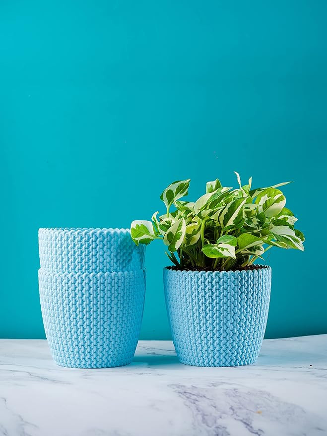 PLASTIC POT BLUE 5 INCH (PACK OF 3 PC)