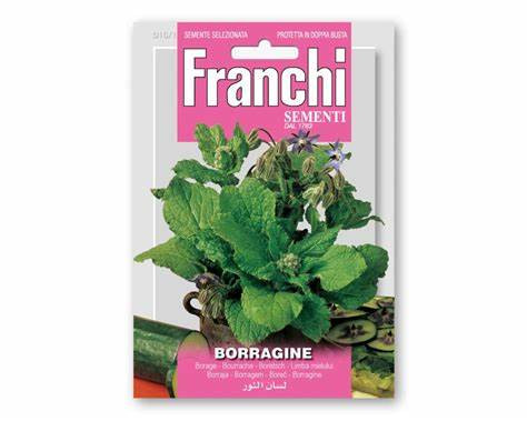 Borragine Vegetable seeds