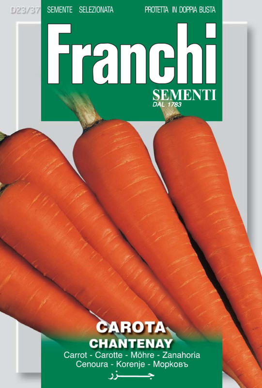 carota chatenay vegetable seeds