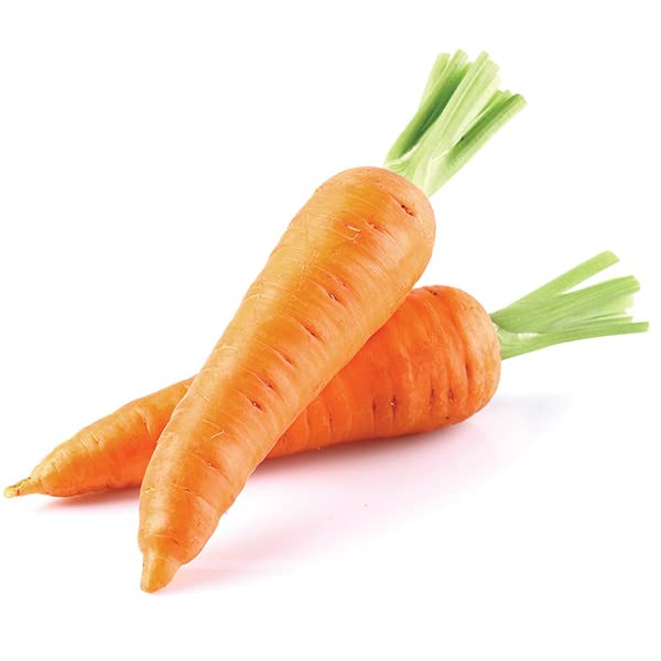 CARROT ORANGE VEGETABLE SEED