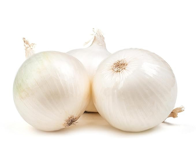 WHITE ONION VEGETABLE SEEDS