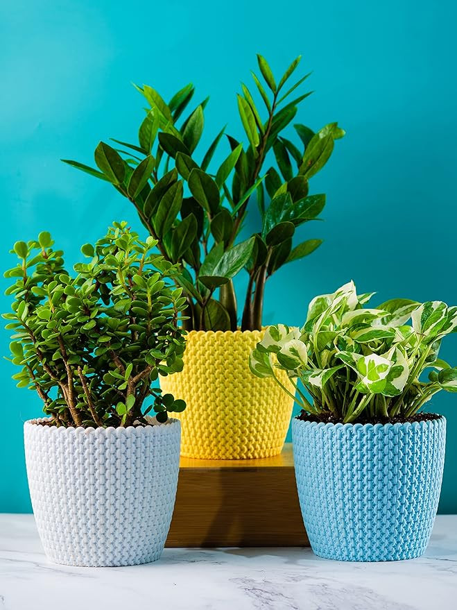 PLASTIC POT (COMBO) WHITE, YELLOW, SKYBLUE, 5 INCH (PACK OF 3 PC)