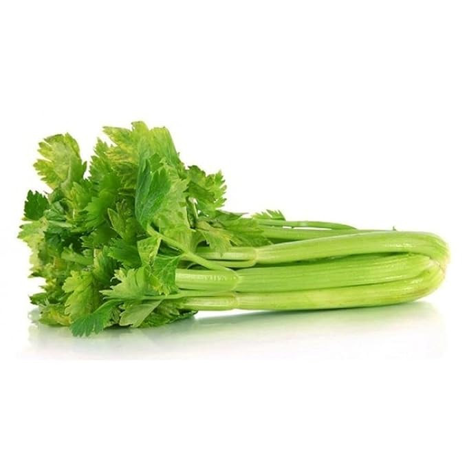 CELERY VEGETABLE SEEDS